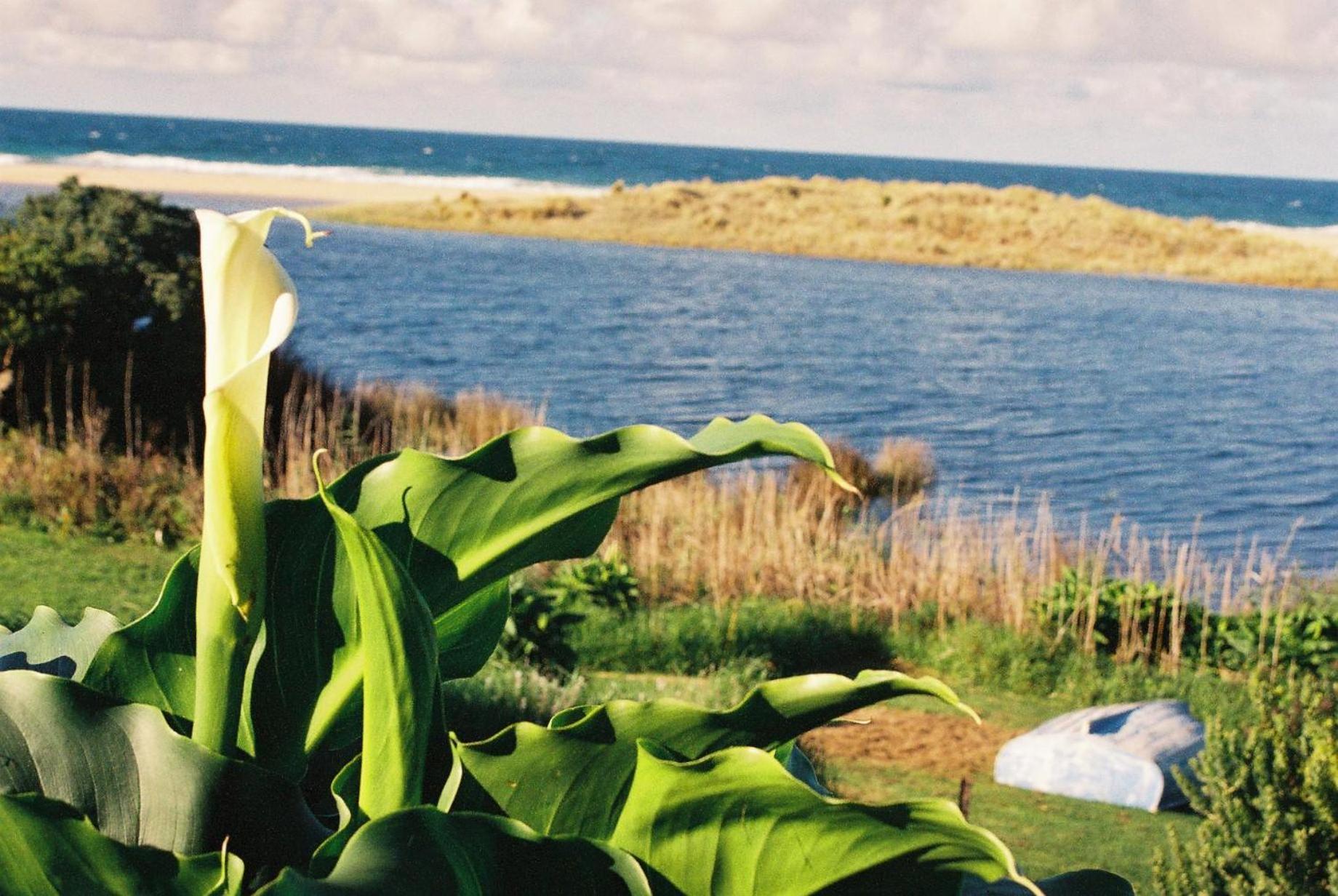 Apollo Bay Guest House Ngoại thất bức ảnh